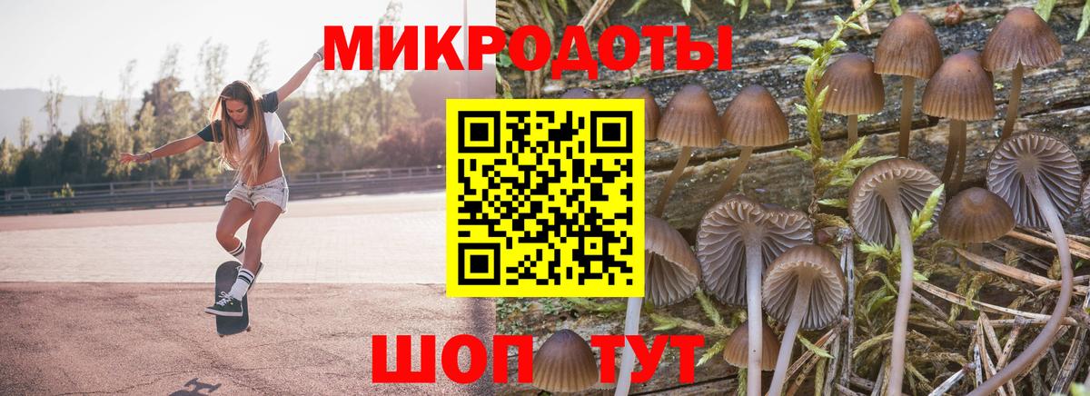 Псилоцибиновые грибы ЛСД Троицк